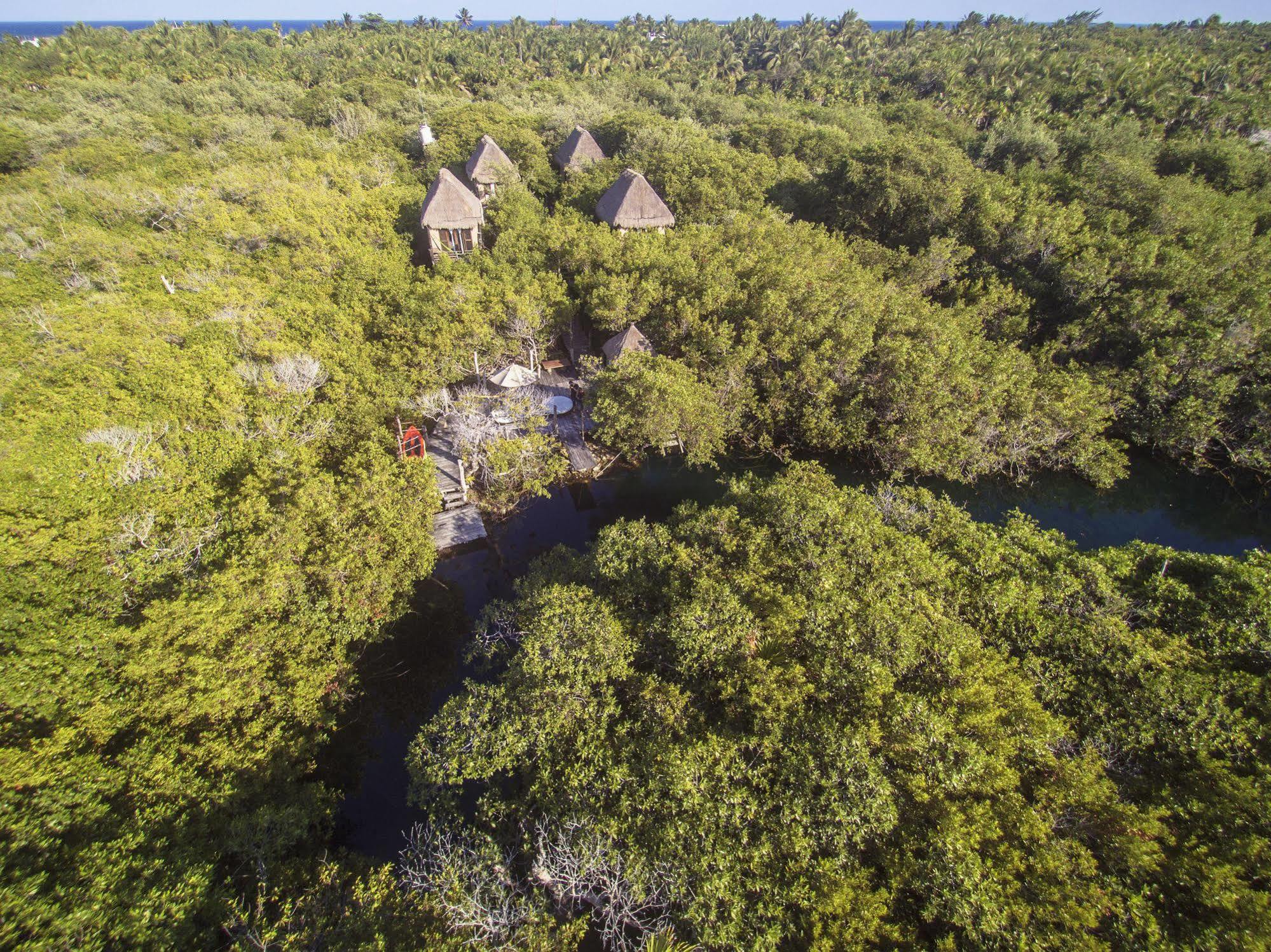 Manglex Eco Hotel Tulum Exterior foto